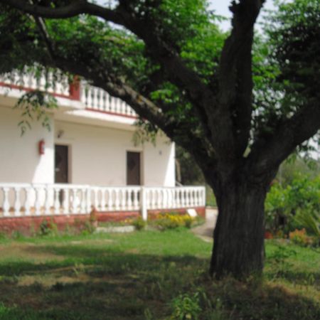 Corfu Country House Vitalades Ruang foto