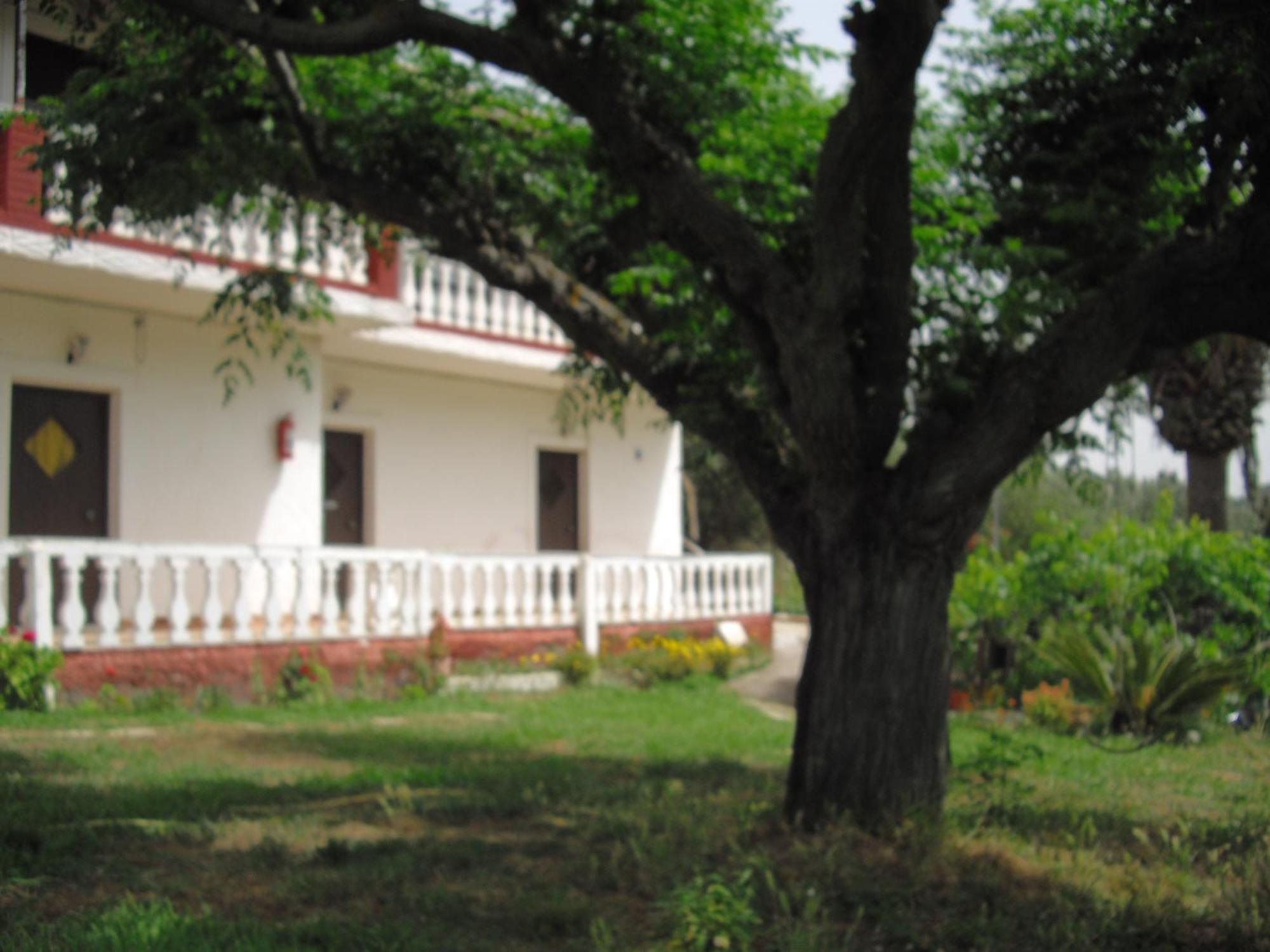 Corfu Country House Vitalades Ruang foto